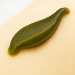 Leech Therapy Procedure